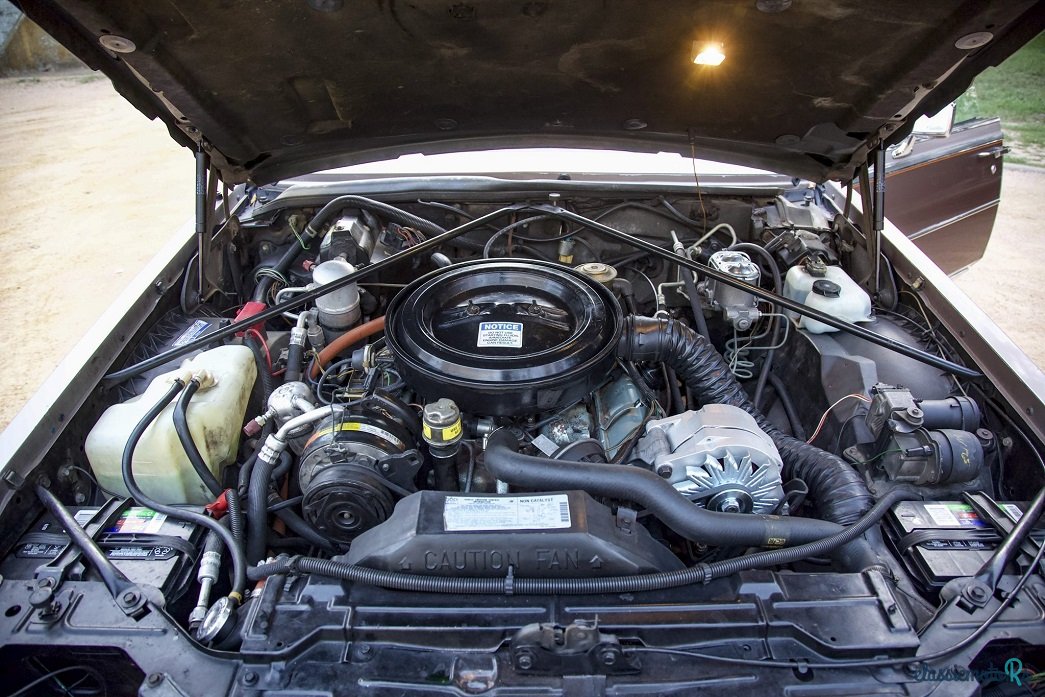 1982' Cadillac Seville photo #6