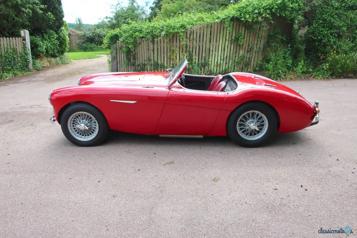 1953' Austin-Healey 100/4 photo #6