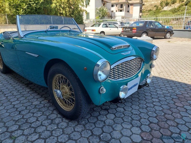 1957' Austin-Healey 100-6 photo #6