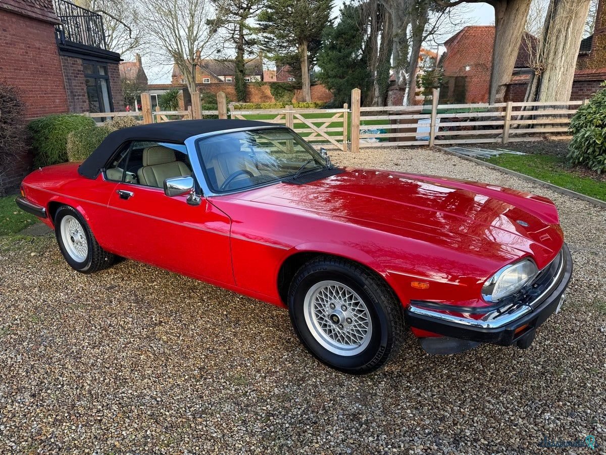1989' Jaguar XJS photo #3