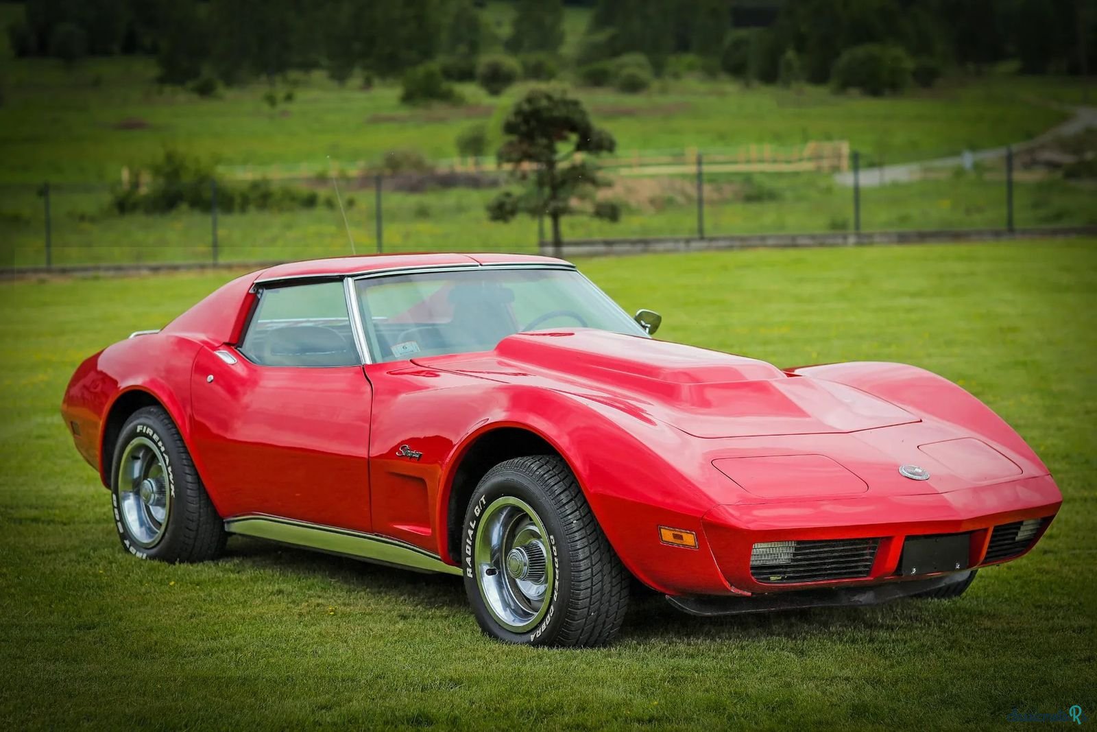 1974' Chevrolet Corvette photo #1