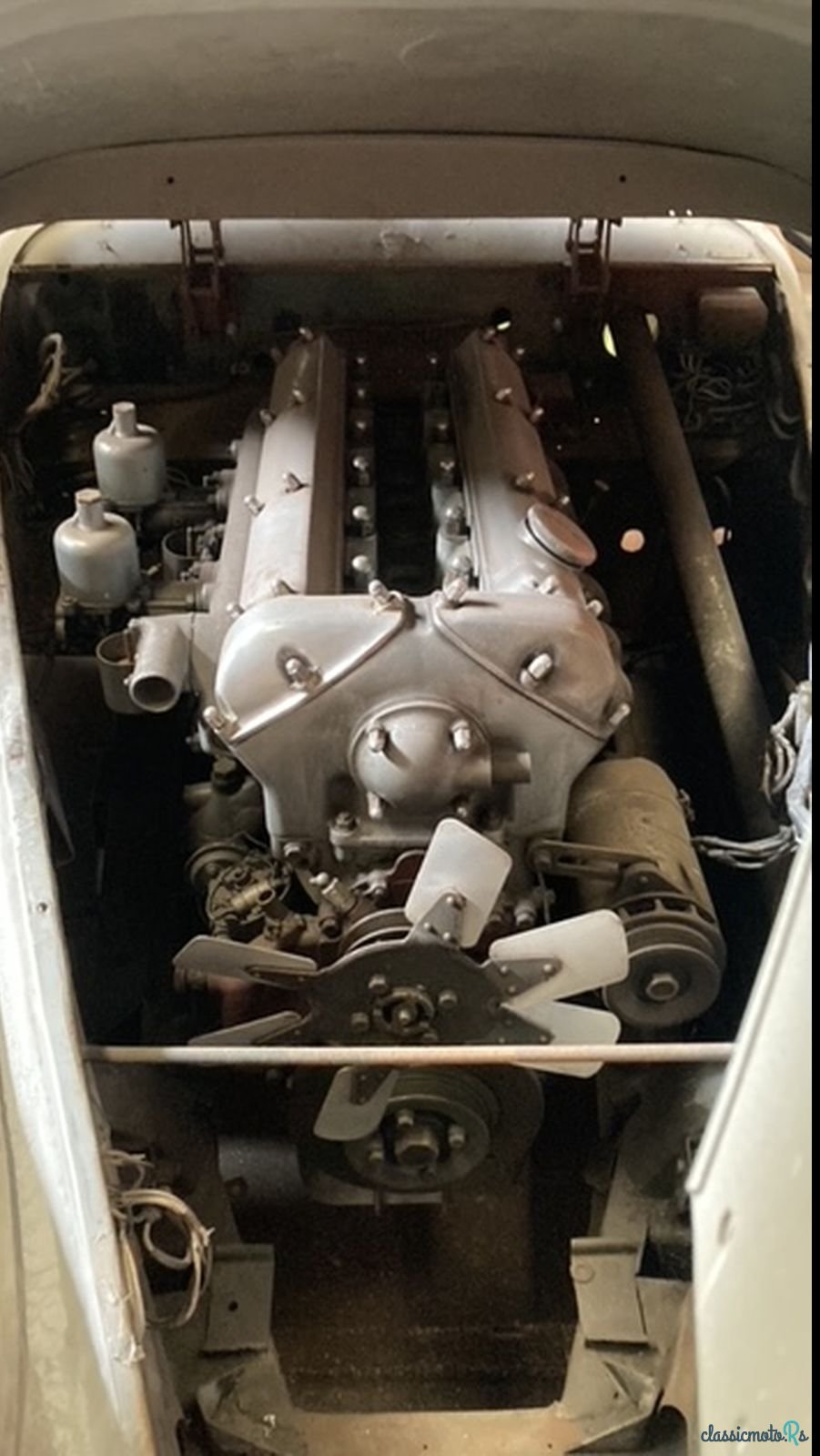 1952' Jaguar photo #2