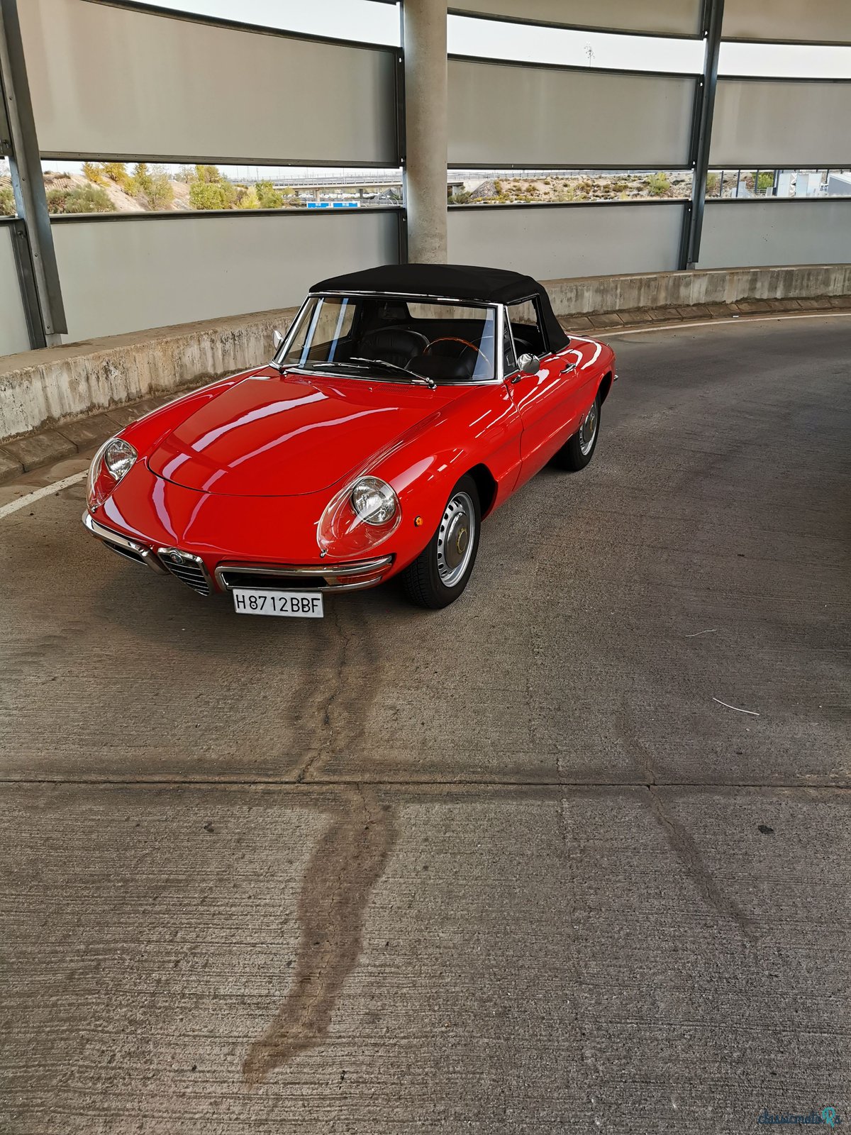 1968' Alfa Romeo Spider Duetto Series 1 1600 photo #1