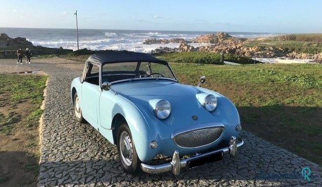 1959' Austin-Healey Sprite Frogeye photo #2