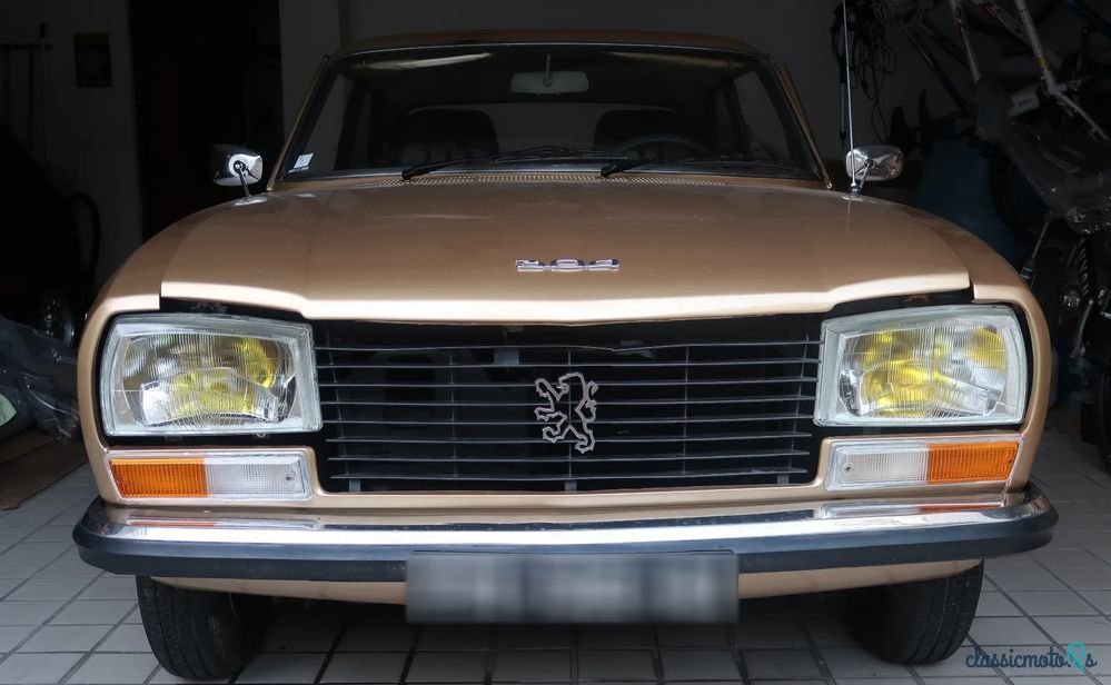 1975' Peugeot 304 photo #5