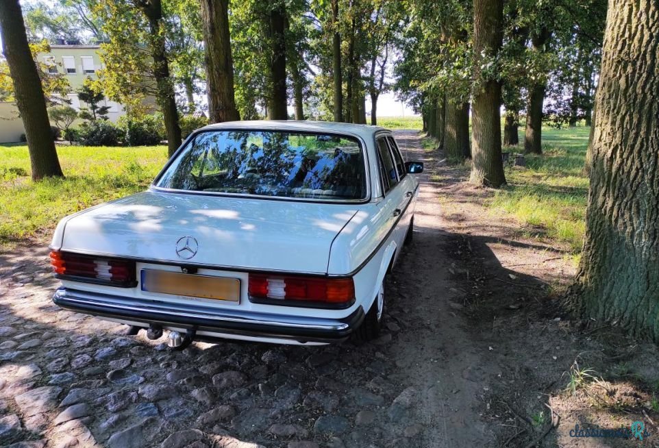 1979' Mercedes-Benz W123 photo #6