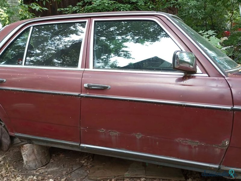 1977' Mercedes-Benz W123 photo #5