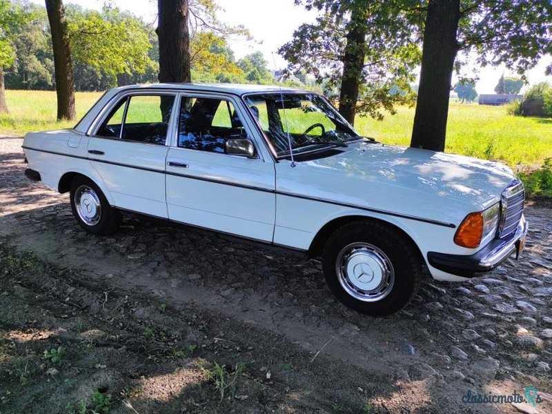 1979' Mercedes-Benz W123 photo #2