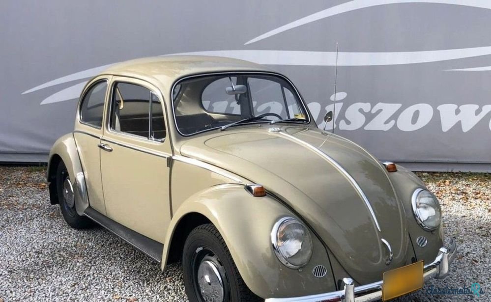 1966' Volkswagen Garbus photo #2