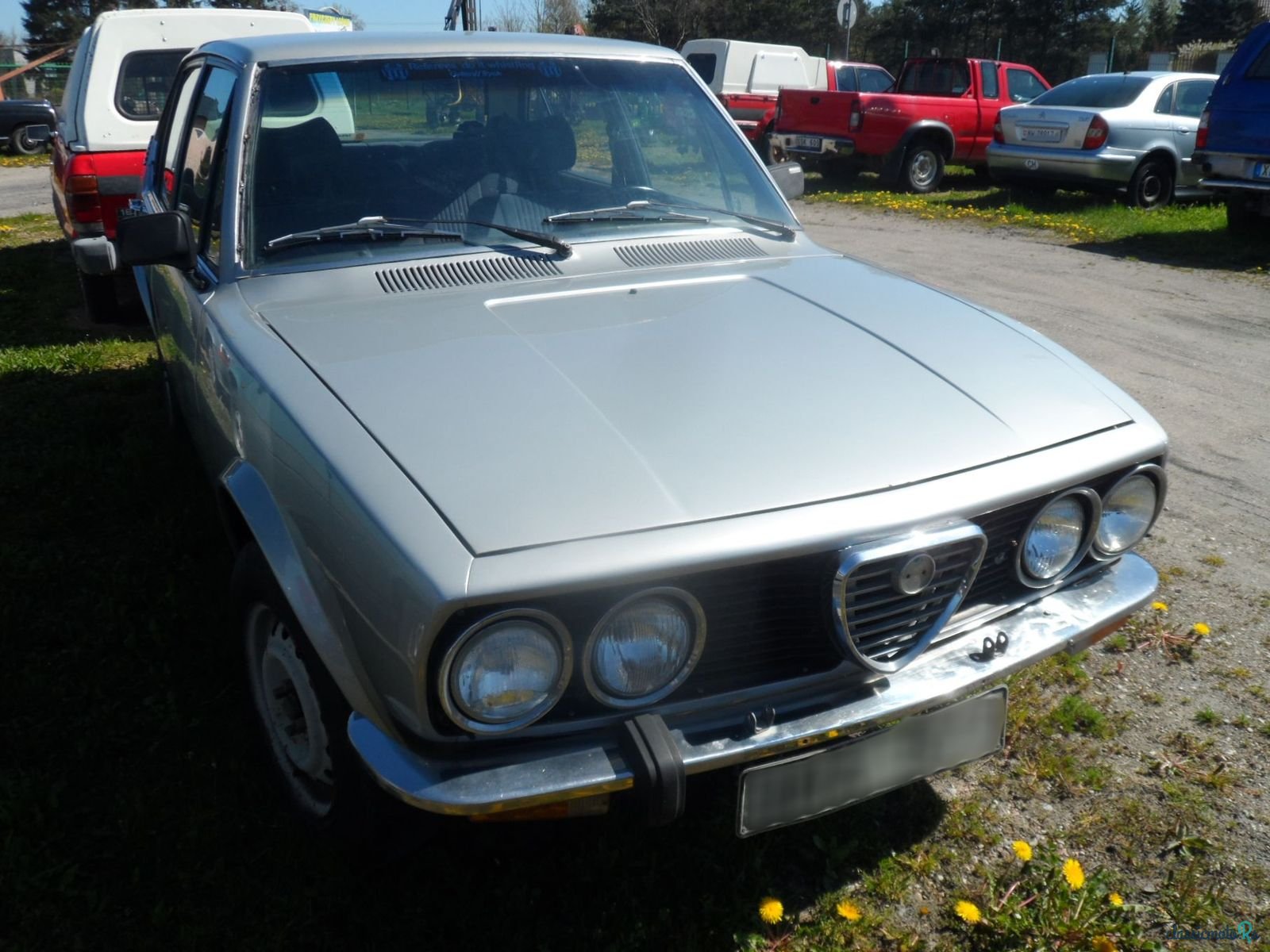 1977' Alfa Romeo Alfetta photo #1