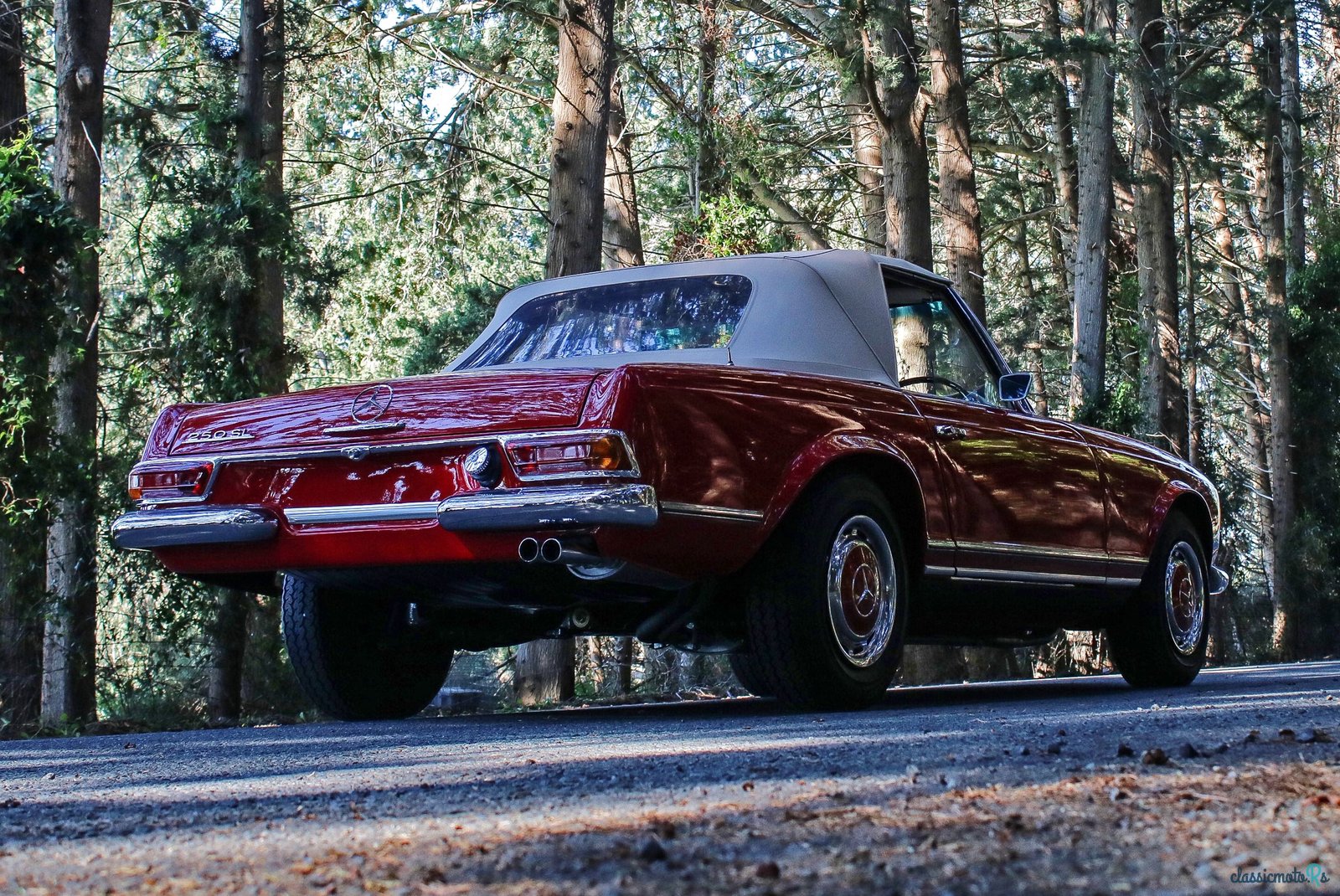 1967' Mercedes-Benz 250 photo #5