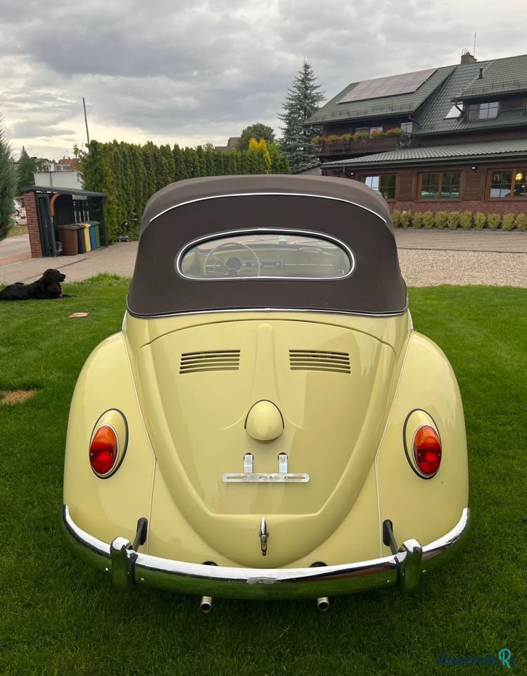 1962' Volkswagen Garbus photo #6