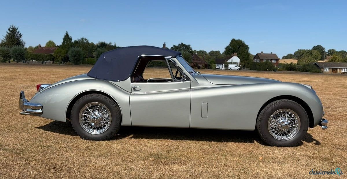 1954' Jaguar Xk140 photo #4
