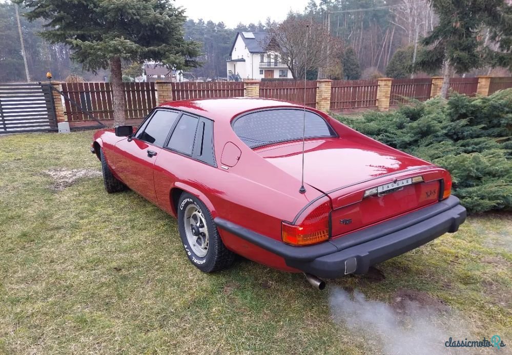 1977' Jaguar XJS photo #6