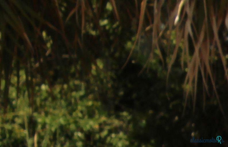 1955' Ford Thunderbird photo #1