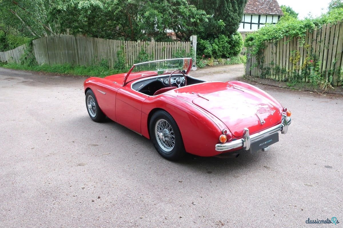 1953' Austin-Healey 100/4 photo #5