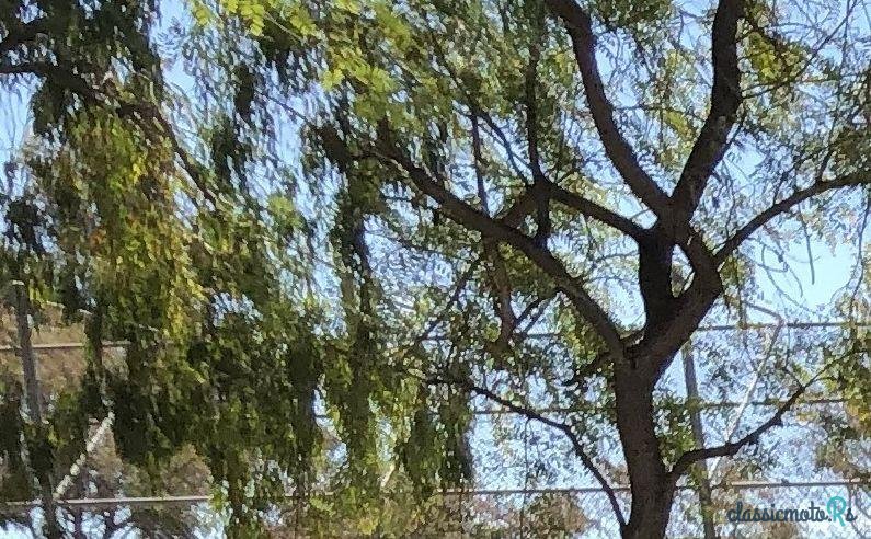 1958' Chevrolet Apache photo #3