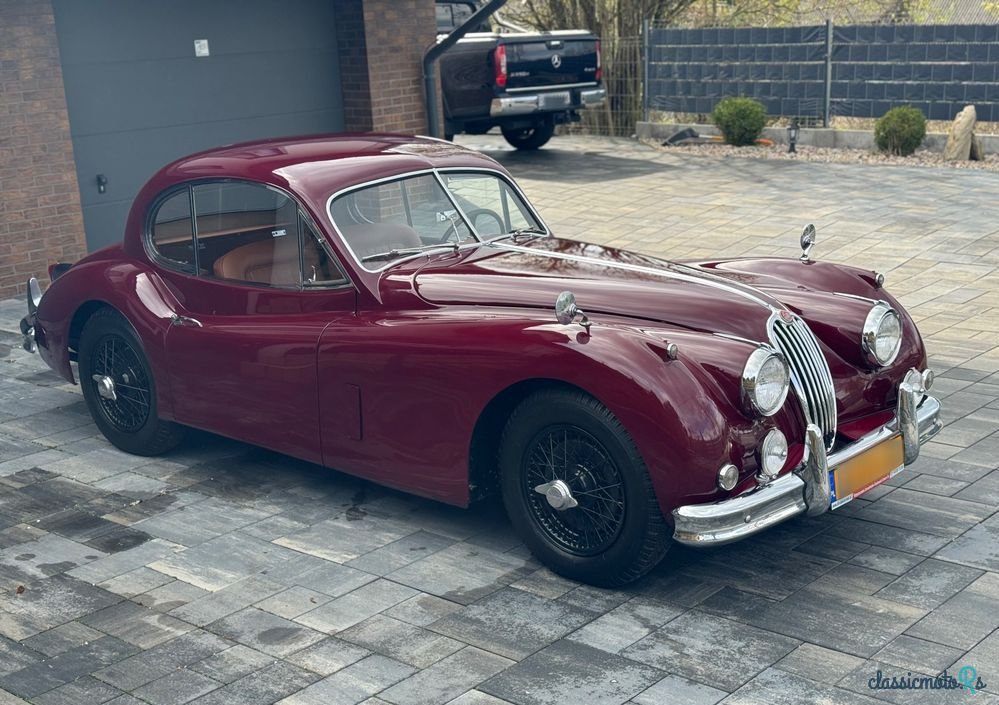 1955' Jaguar XK photo #6