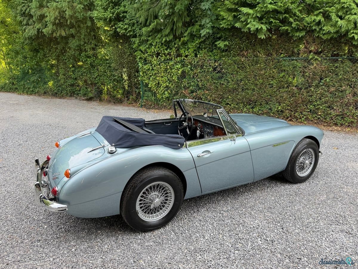 1966' Austin-Healey 3000 photo #3