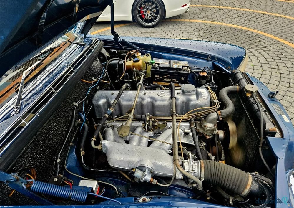 1966' Mercedes-Benz W108 250se photo #5