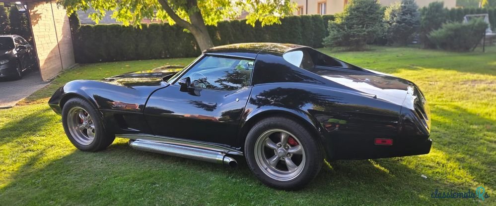 1977' Chevrolet Corvette photo #1