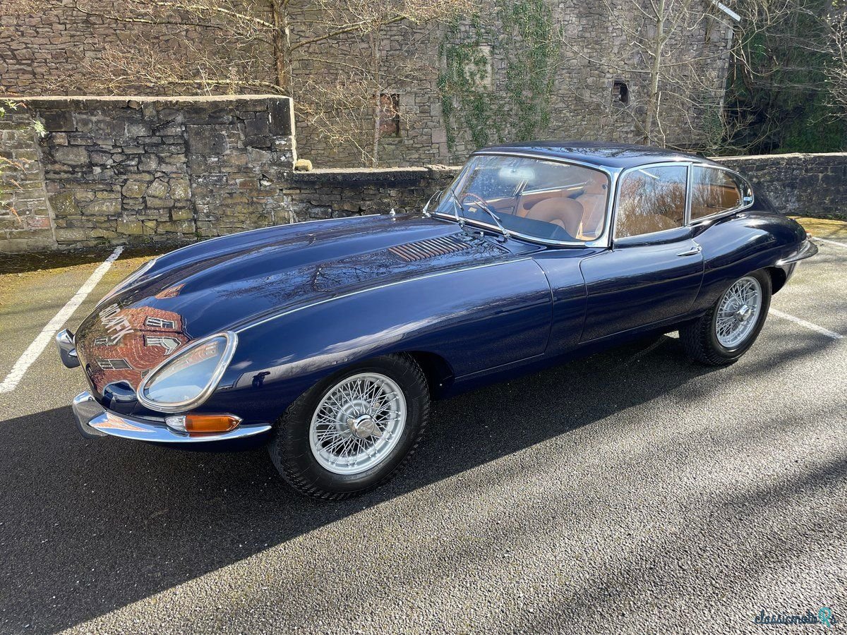 1962' Jaguar E-Type photo #1