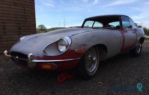 1969' Jaguar E Type Fhc photo #3