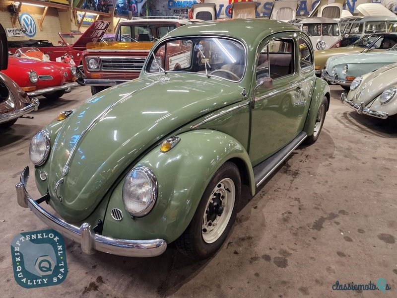 1954' Volkswagen Beetle photo #5