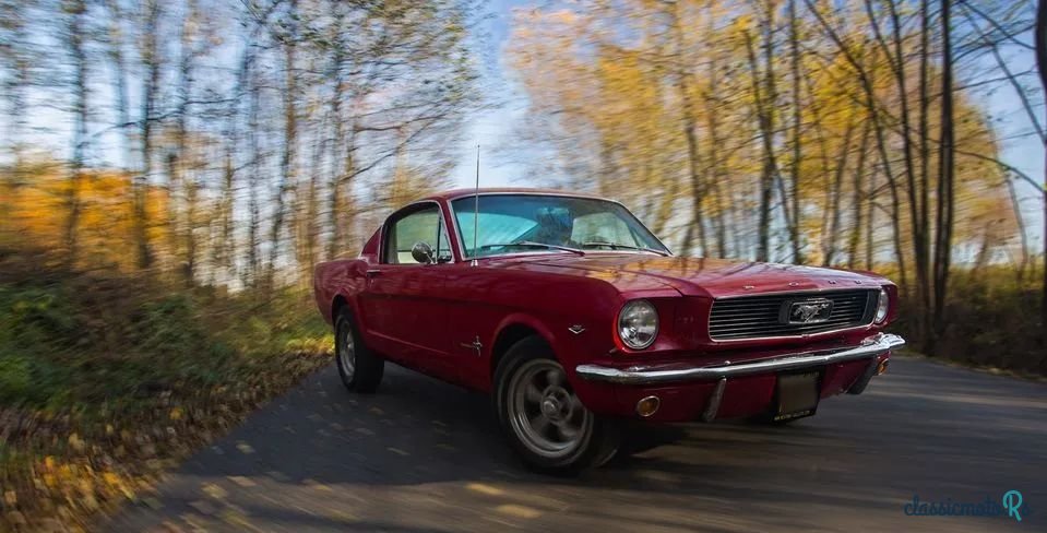 1966' Ford Mustang photo #4