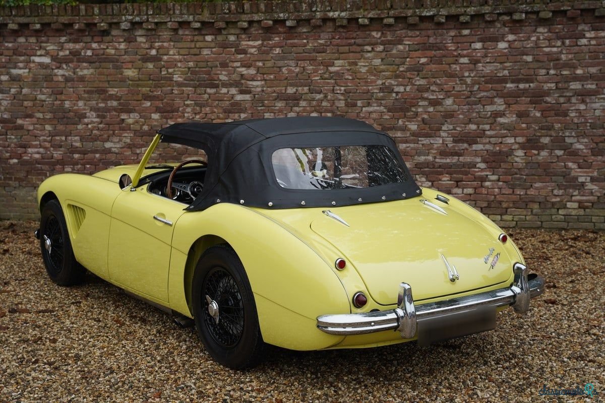 1960' Austin-Healey 3000 photo #2