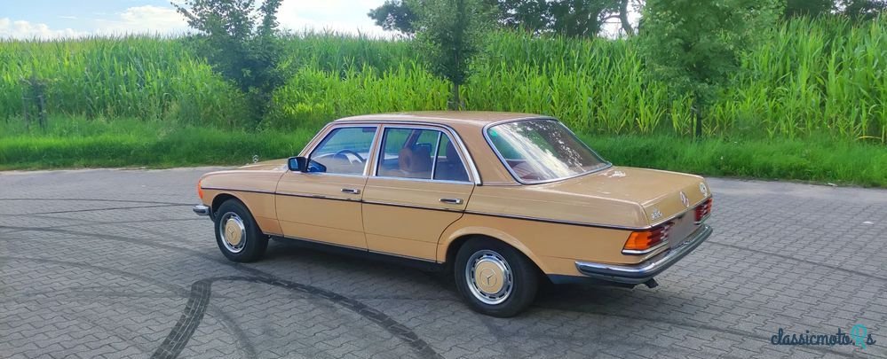 1977' Mercedes-Benz W123 photo #4