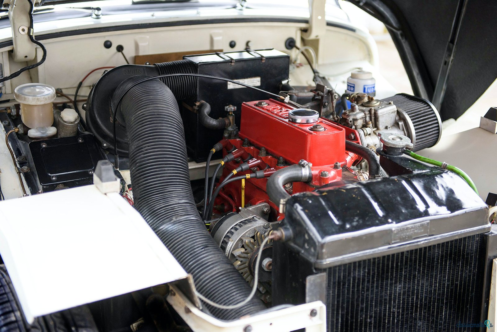 1958' Austin-Healey Sprite photo #5