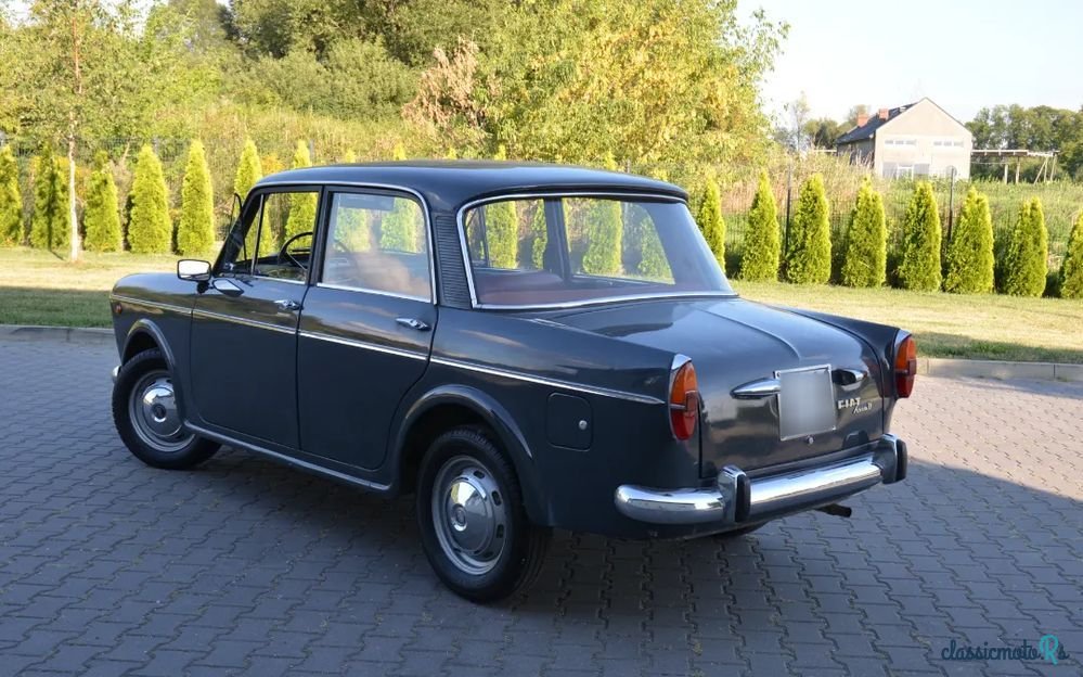 1964' Fiat 1100 D photo #4