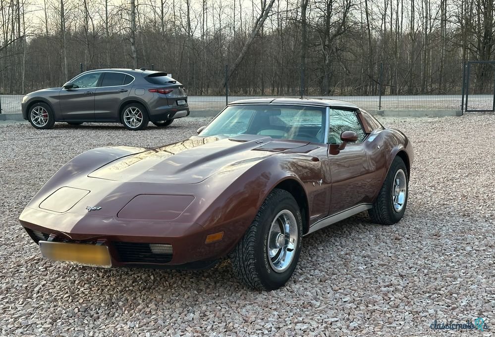 1977' Chevrolet Corvette photo #3