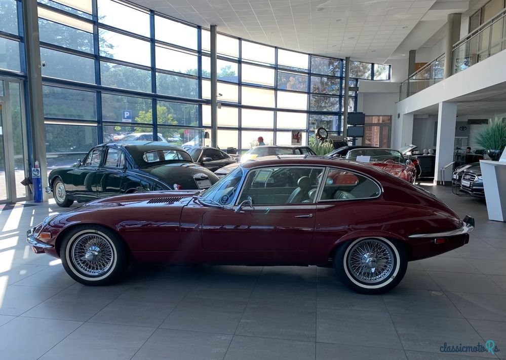 1971' Jaguar E-Type photo #5