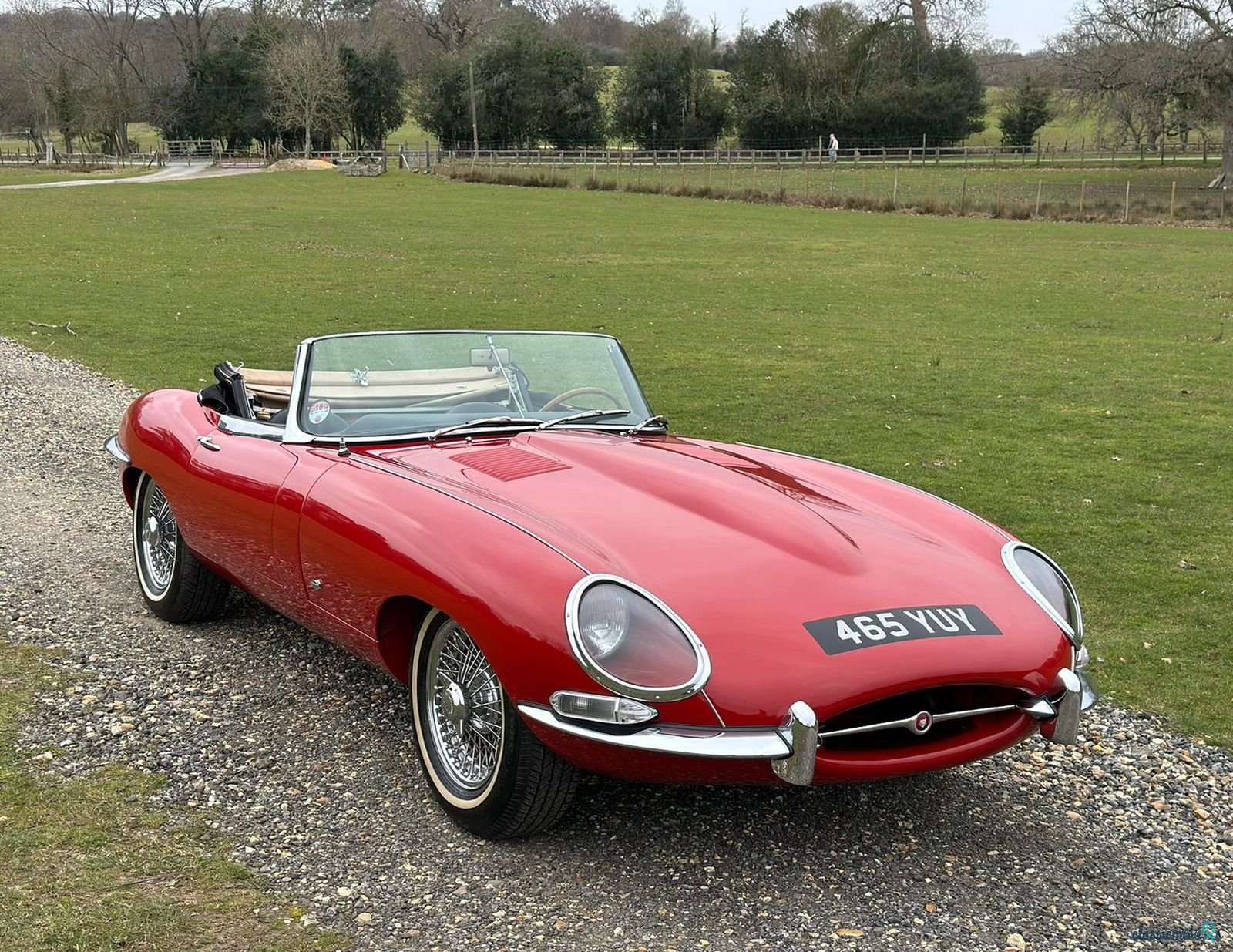1961' Jaguar E-Type photo #1