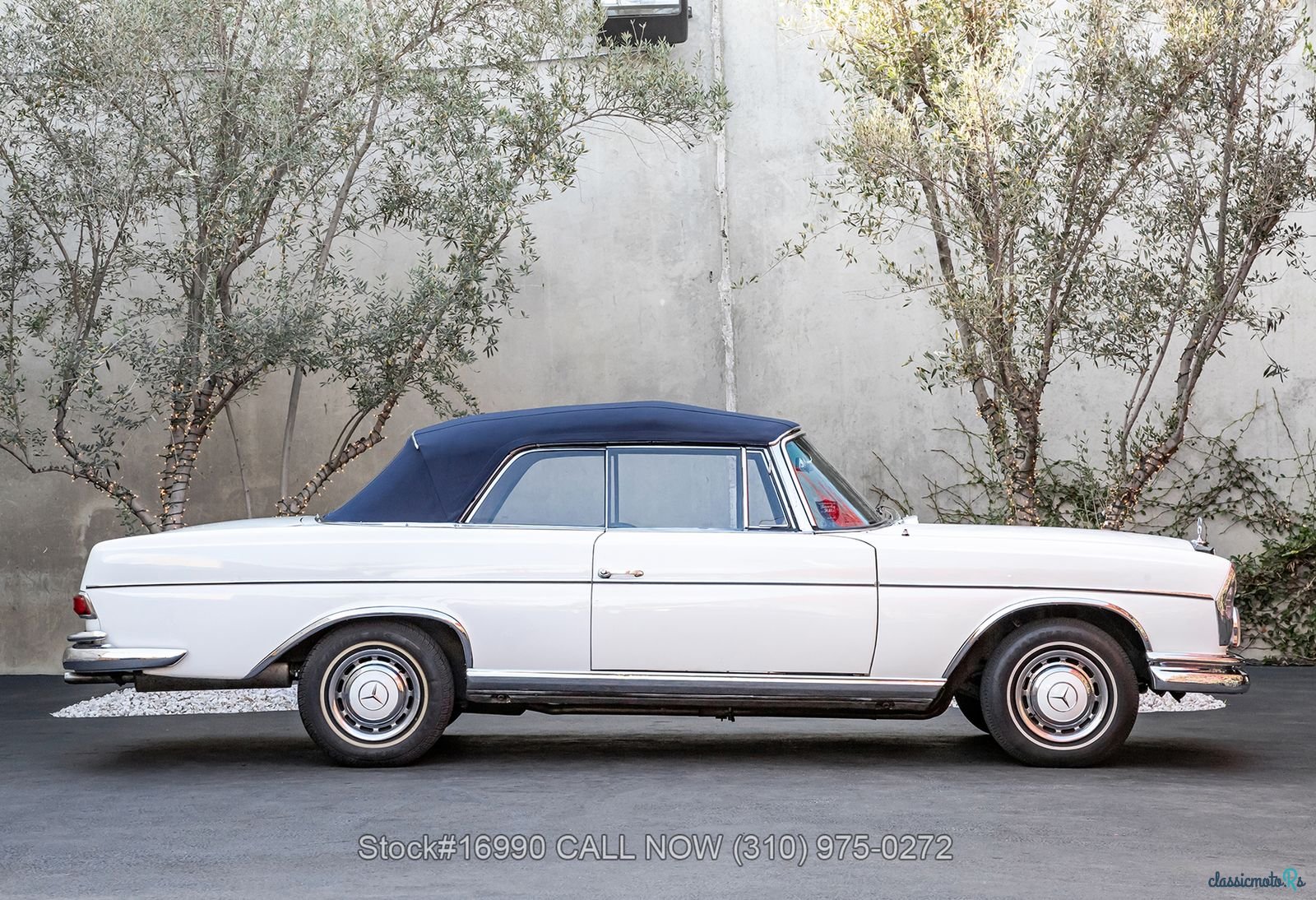 1966' Mercedes-Benz photo #5