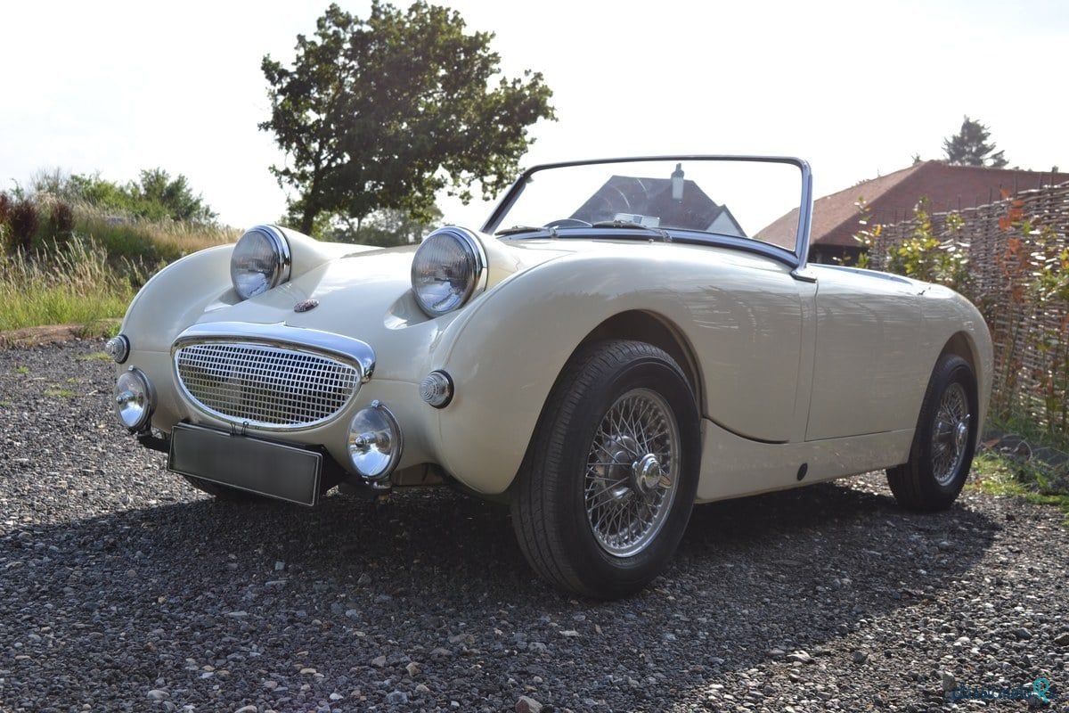 1961' Austin-Healey Sprite photo #2