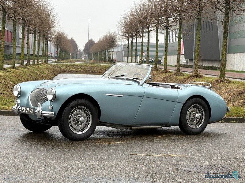 1954' Austin-Healey 100 photo #1