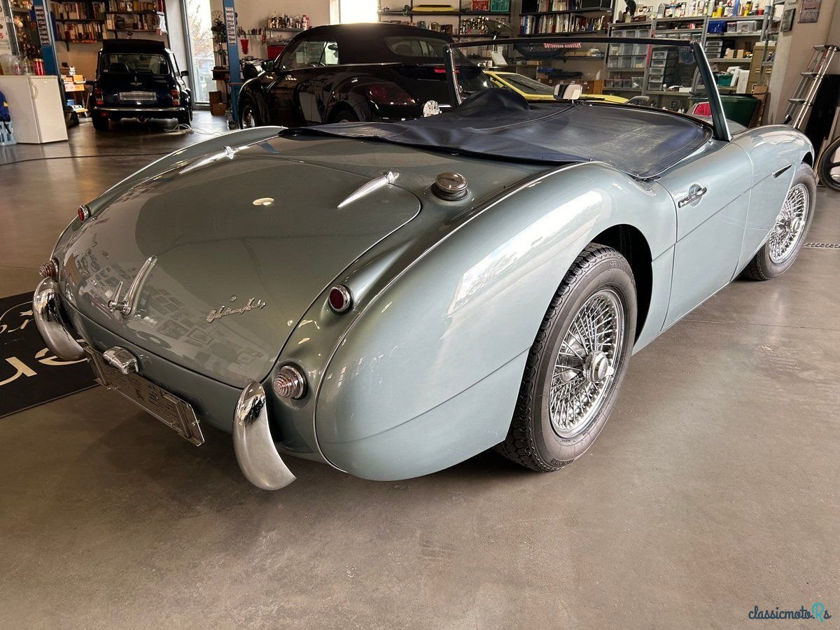 1959' Austin-Healey 3000 photo #5