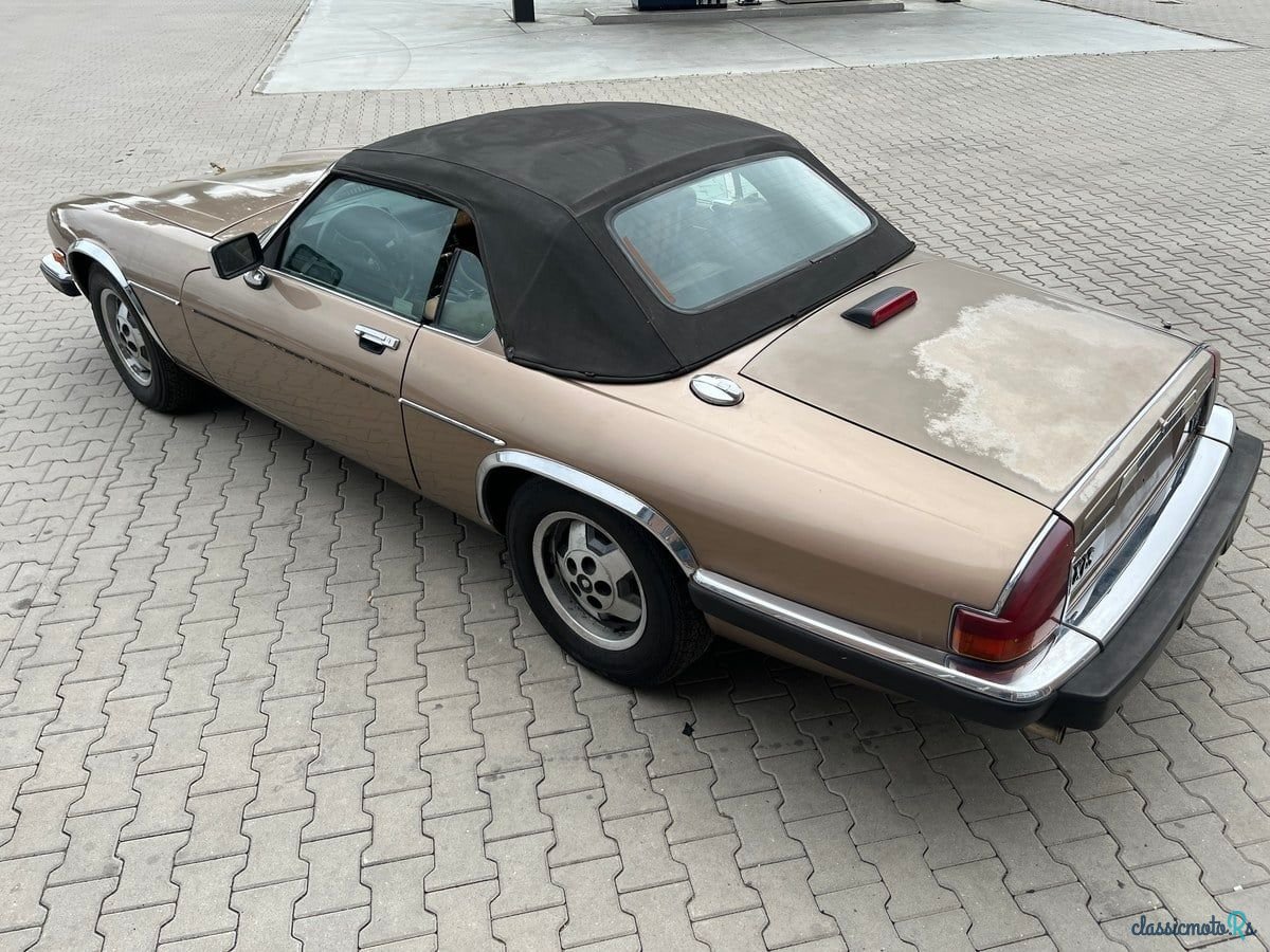 1989' Jaguar XJS photo #6