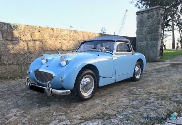 1959' Austin-Healey Sprite photo #1