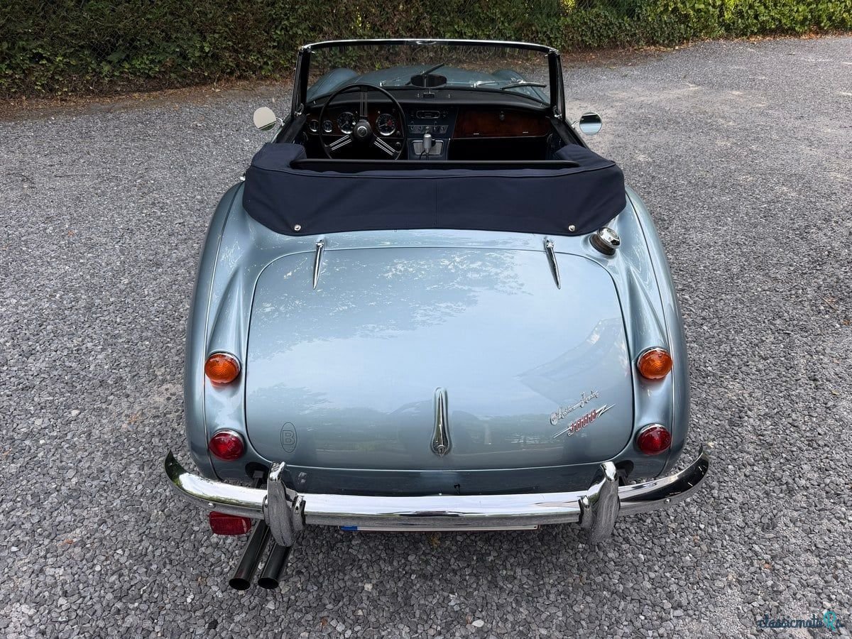 1966' Austin-Healey 3000 photo #6