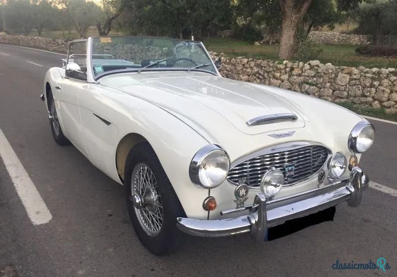 1959' Austin-Healey 3000 photo #1