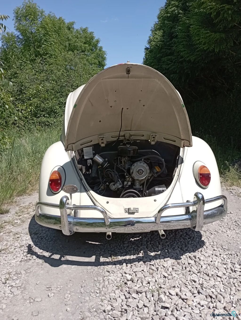 1966' Volkswagen Garbus photo #4