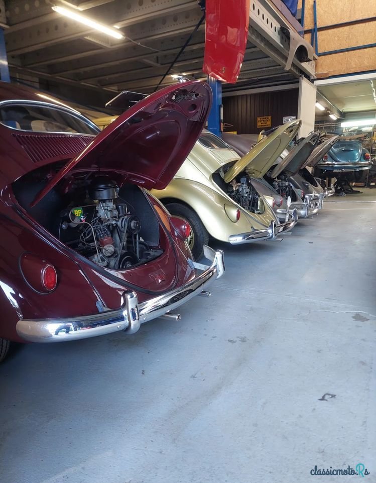 1956' Volkswagen Garbus photo #1