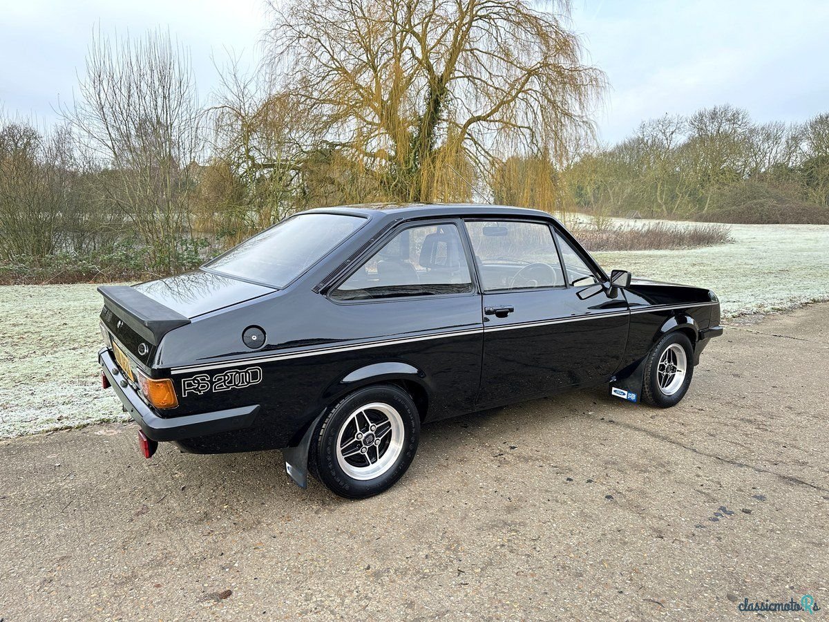 1979' Ford Escort photo #3
