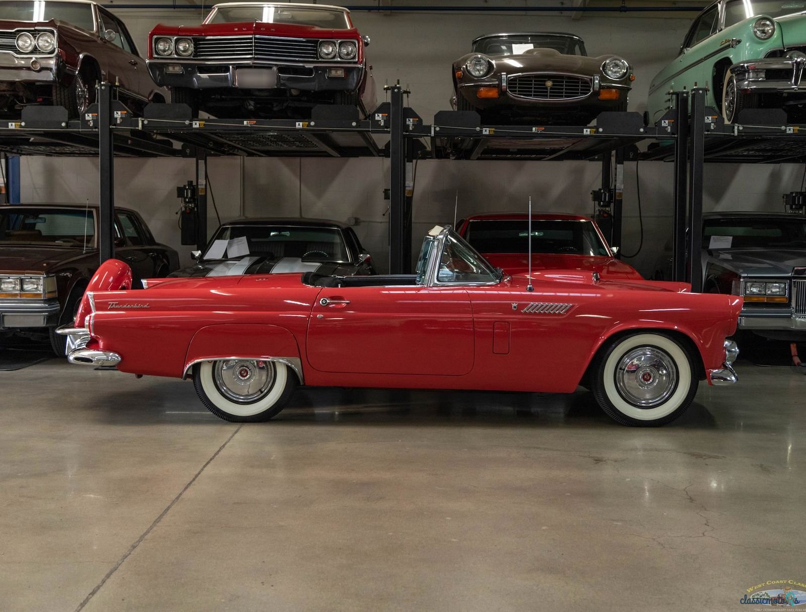 1956' Ford Thunderbird photo #2
