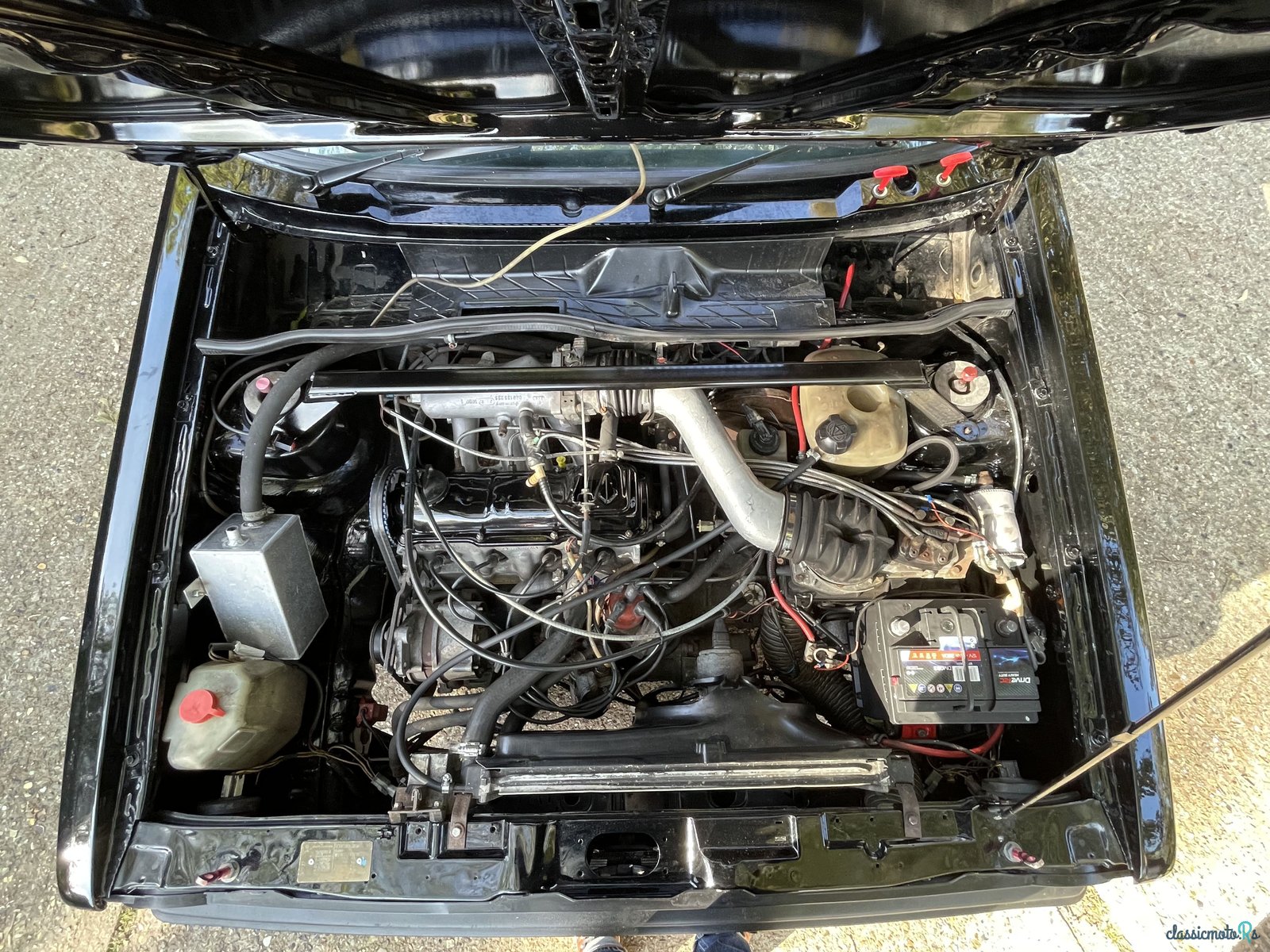 1982' Volkswagen Golf photo #6