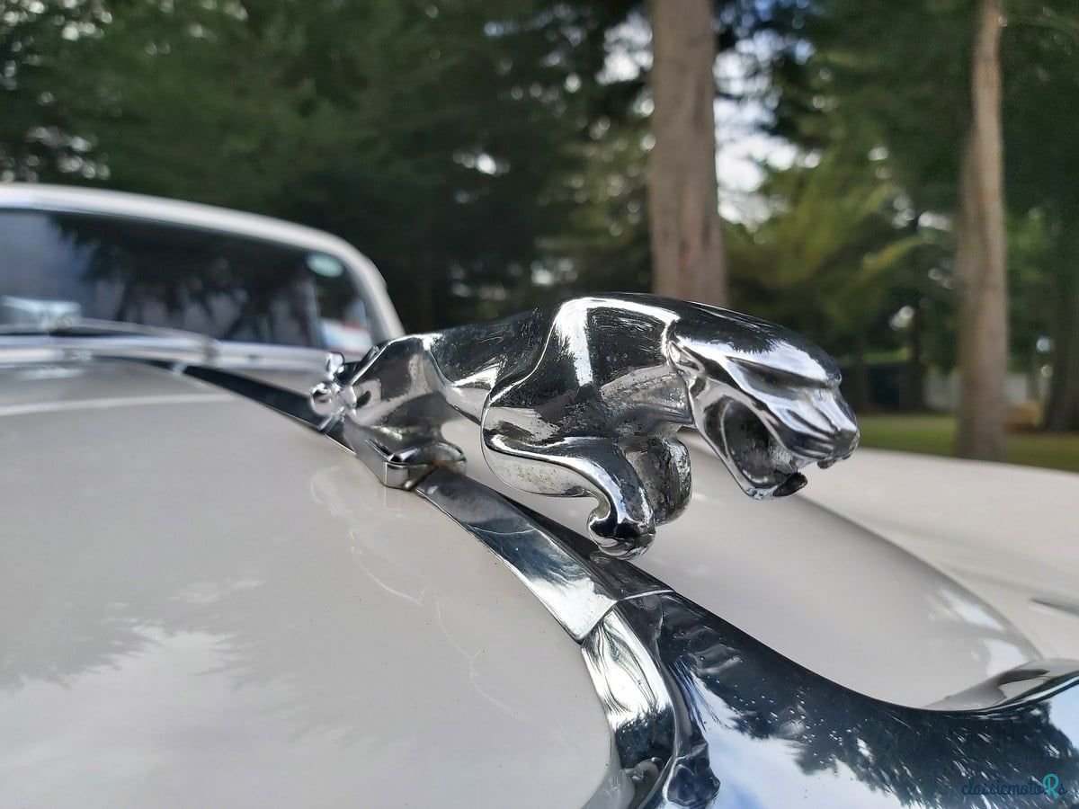 1959' Jaguar Mark VIII photo #5